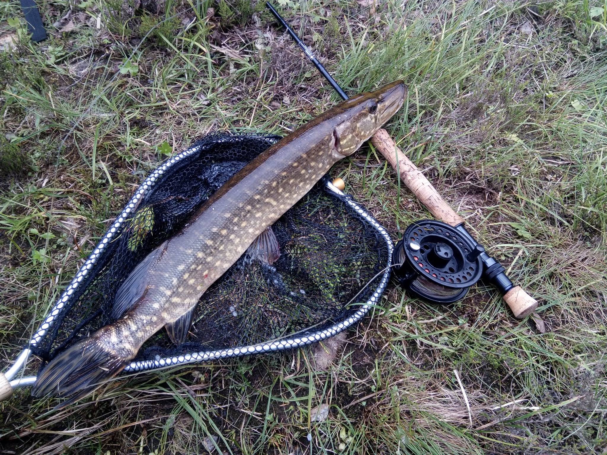 finsko 10